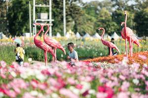 BIB: 
                            <button type="button" onclick="openModal(27344333)" class="btn btn-primary btn-sm float-right btn-popup" data-toggle="modal" data-target=".modal-high-quality">
                        <i class="fas fa-shopping-cart"></i> Add to Cart
                    </button>
                                            <button type="button" onclick="isThisMe(27344333, true)" class="btn btn-success btn-sm float-right btn-popup btn-isme hidden" data-toggle="tooltip" data-placement="bottom" title="นี่คือรูปของคุณใช่ไหม คลิกที่นี่เพื่อเอาเข้าอัลบั้ม">
                        <i class="fas fa-plus"></i> Add to album
                    </button>
                    <button type="button" onclick="isThisMe(27344333, false)" class="btn btn-warning btn-sm float-right btn-popup btn-isnotme hidden">
                        <i class="fas fa-ban"></i> Remove from album
                    </button>